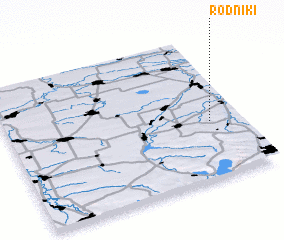 3d view of Rodniki