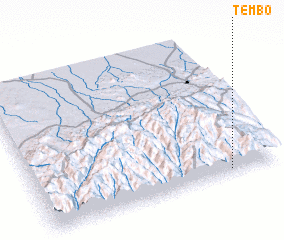 3d view of Tembo