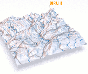 3d view of Birlik