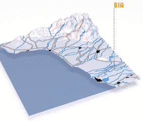 3d view of Bia