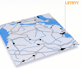 3d view of Leynyy