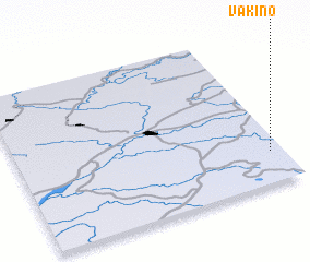 3d view of Vakino