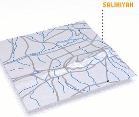 3d view of Şāliḩīyah