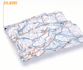 3d view of Silauri