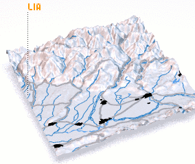 3d view of Lia