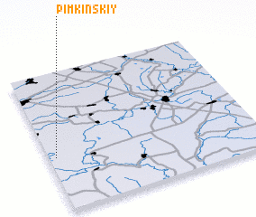 3d view of Pimkinskiy