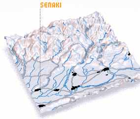 3d view of Senaki