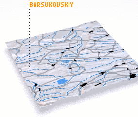 3d view of Barsukovskiy