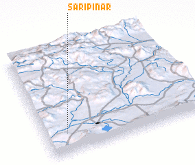 3d view of Sarıpınar