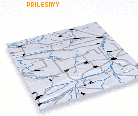 3d view of (( Prilesnyy ))