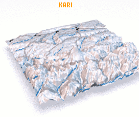 3d view of Kari