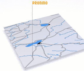 3d view of Pronino