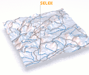 3d view of Selek