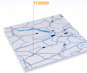 3d view of Tyunino