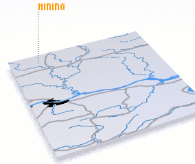 3d view of Minino