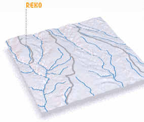 3d view of Reko