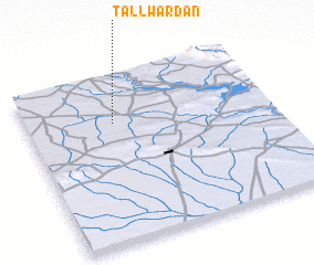 3d view of Tall Wardān