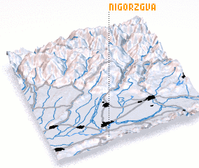 3d view of Nigorzgva