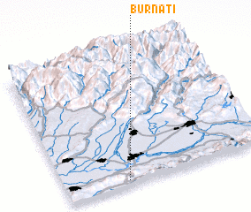 3d view of Burnati