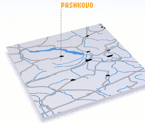 3d view of Pashkovo