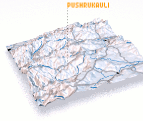 3d view of Pʼushrukauli