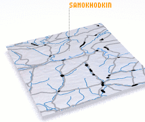 3d view of Samokhodkin