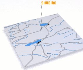 3d view of Shubino