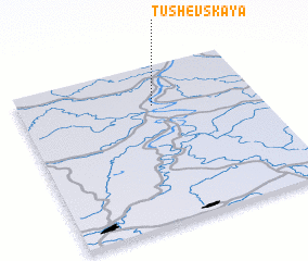 3d view of Tushevskaya