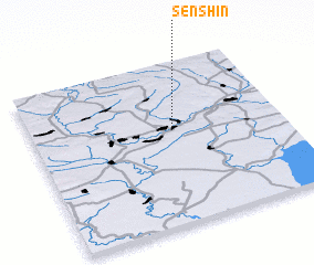 3d view of Sen\