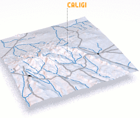 3d view of Caligi