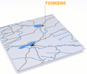 3d view of Tushebino