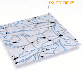 3d view of Tsvetochnyy