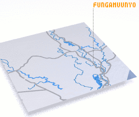 3d view of Fungamuunyo