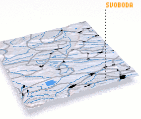 3d view of Svoboda