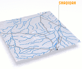 3d view of Shaqīqah