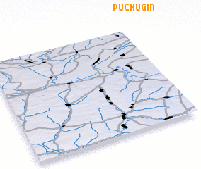 3d view of Puchugin