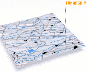 3d view of Tumanskiy