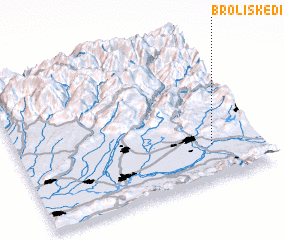 3d view of Broliskedi