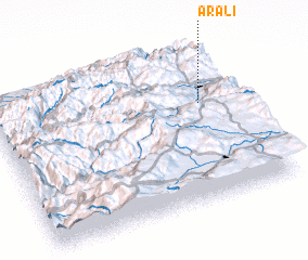 3d view of Arali