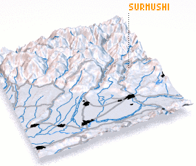 3d view of Surmushi