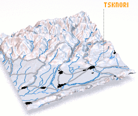 3d view of Tsknori