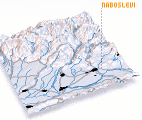 3d view of Naboslevi