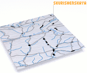 3d view of Skurishenskaya