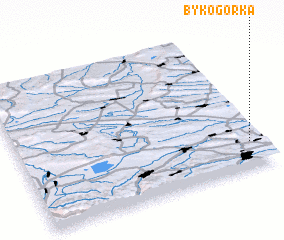 3d view of Bykogorka