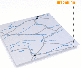 3d view of Mitronino