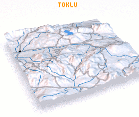 3d view of Toklu