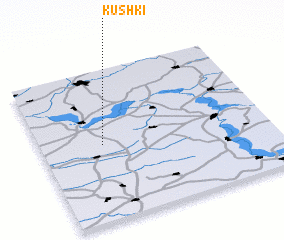 3d view of Kushki