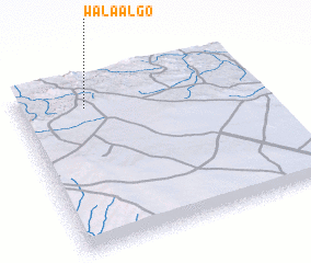 3d view of Walaalgo