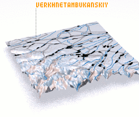 3d view of Verkhnetambukanskiy