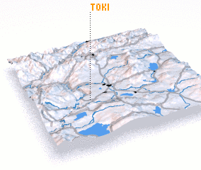 3d view of Tʼoki